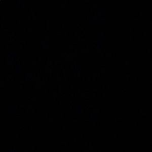 Meet your Posher, Tyrone